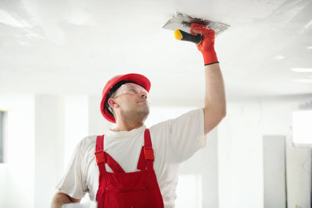 Best Fire-Damaged Drywall Repair  in Belgium, WI